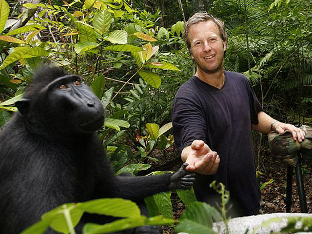 Черная макака в джунглях Индонезии украла у англичанина камеру